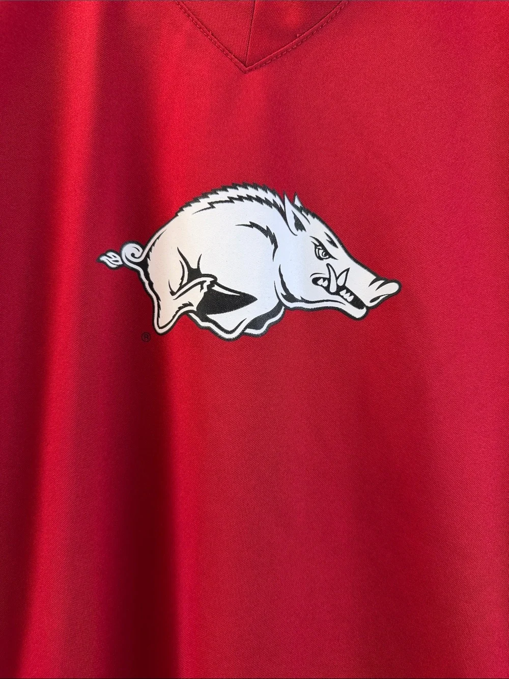 Red Arkansas Razorbacks V-Neck Short Sleeve Shirt - Small
